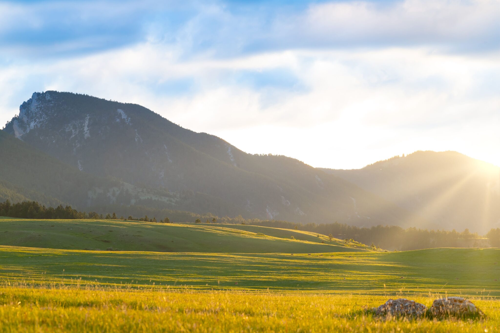 Western South Dakota Great Peaks Realty