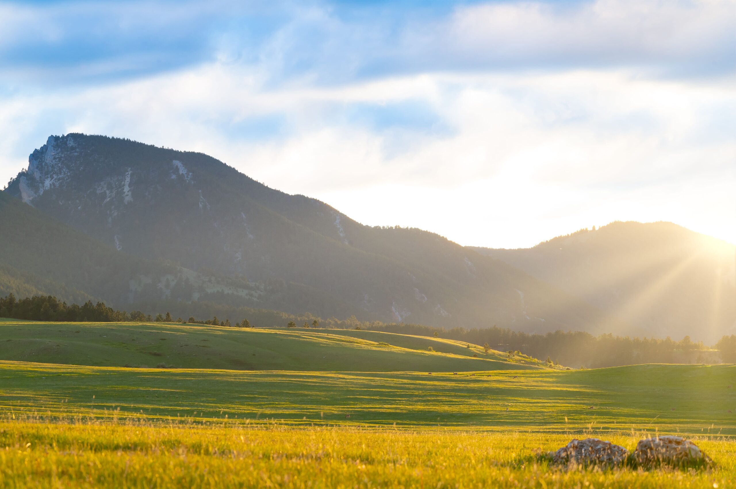 Western South Dakota Great Peaks Realty